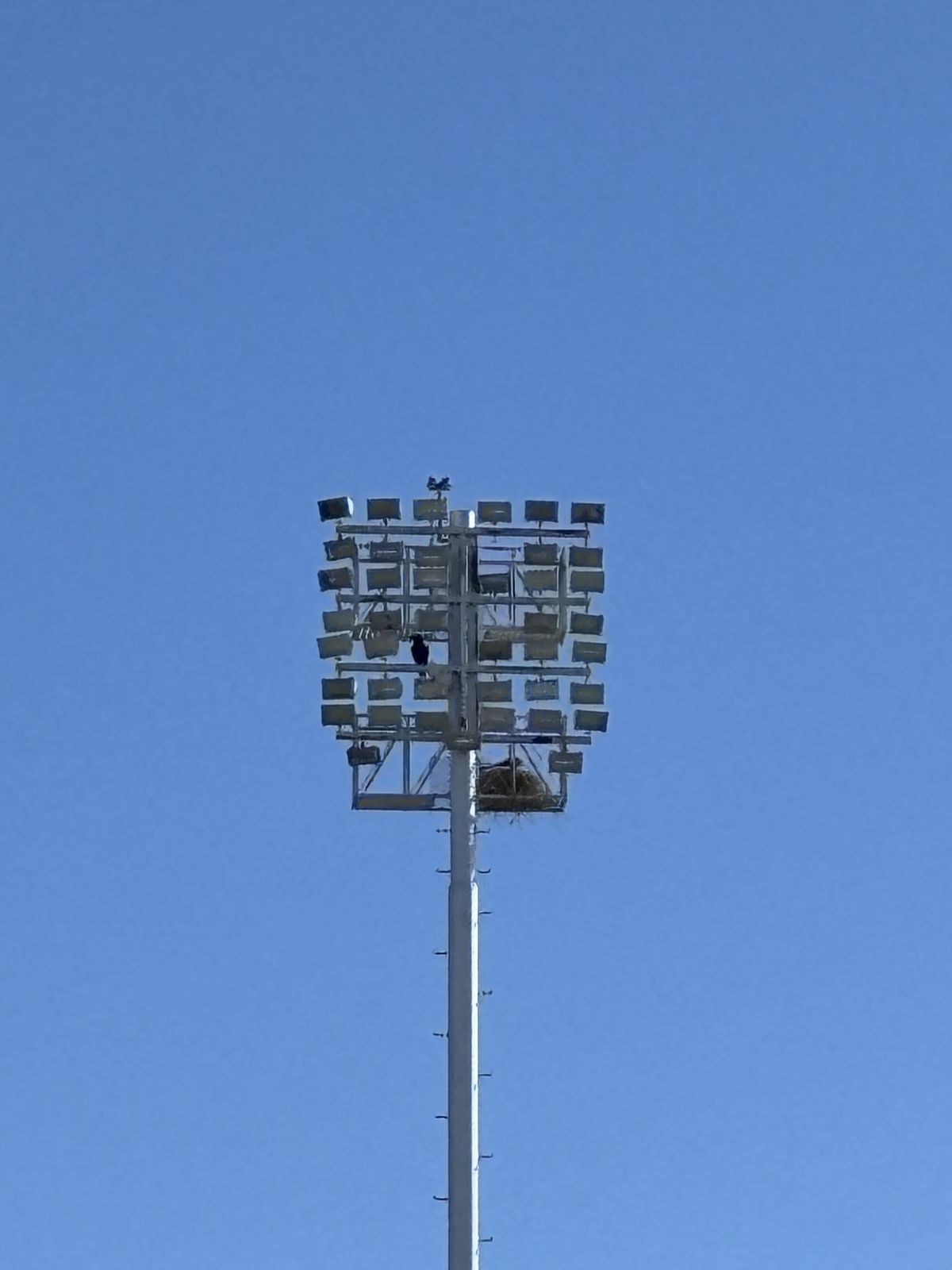 Parker High School Football — jobsite photo 5